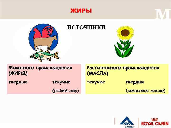 ЖИРЫ ИСТОЧНИКИ Животного происхождения (ЖИРЫ) Растительного происхождения (МАСЛА) твердые текучие (рыбий жир) твердые (кокосовое