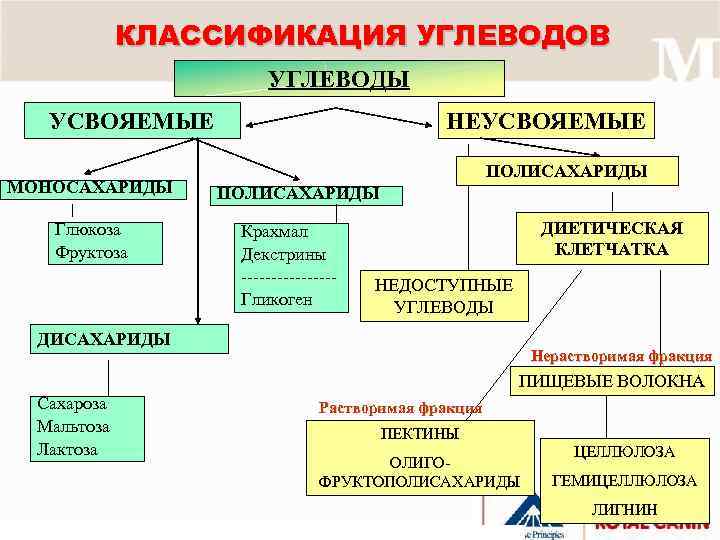 3 типа углеводов