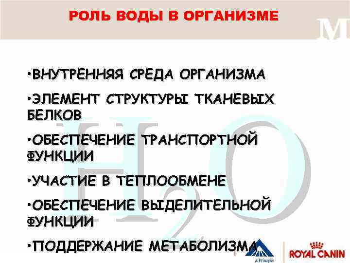 РОЛЬ ВОДЫ В ОРГАНИЗМЕ • ВНУТРЕННЯЯ СРЕДА ОРГАНИЗМА Н 2 О • ЭЛЕМЕНТ CТРУКТУРЫ