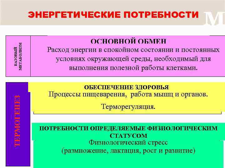 Энергетические потребности. Энергетические потребности организма. Что включает в себя понятие энергетические потребности организма. Энергетические потребности это. Понятие «энергетические потребности человека»?.