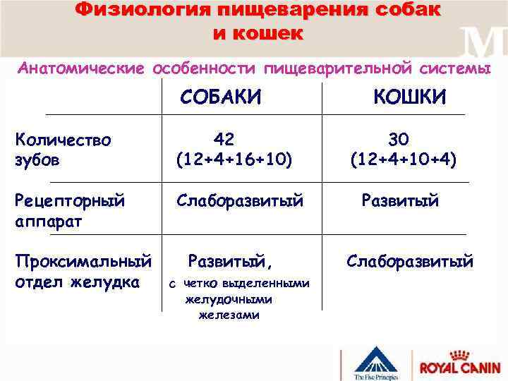 Физиология пищеварения собак и кошек Анатомические особенности пищеварительной системы СОБАКИ Количество зубов 42 (12+4+16+10)