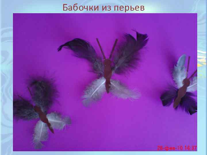 Бабочки из перьев 