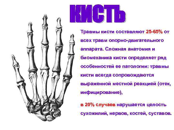 Травмы кисти презентация