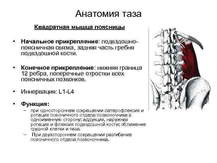 Гипертрофия желтой связки поясничный отдел