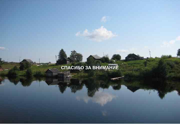 СПАСИБО ЗА ВНИМАНИЕ 