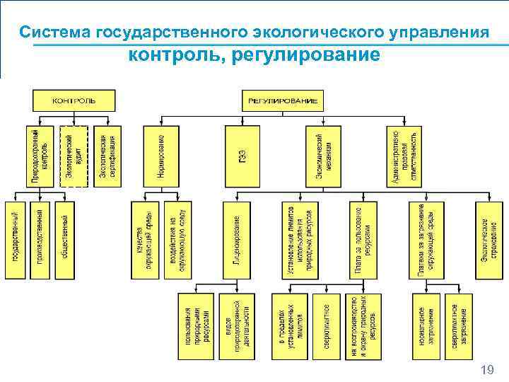 Структура органов государственного экологического управления