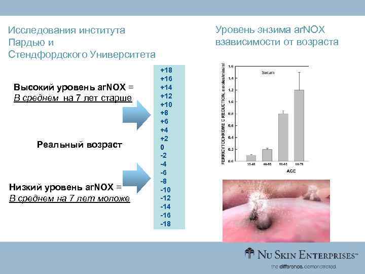 Уровень энзима ar. NOX взависимости от возраста Исследования института Пардью и Стендфордского Университета Высокий