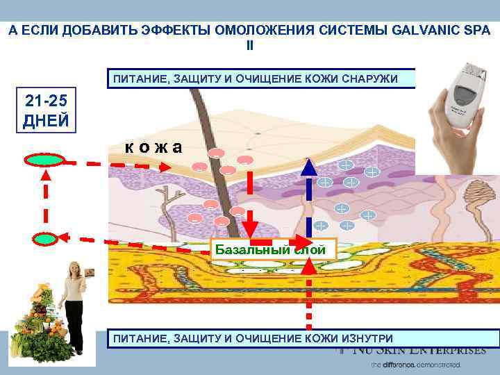 А ЕСЛИ ДОБАВИТЬ ЭФФЕКТЫ ОМОЛОЖЕНИЯ СИСТЕМЫ GALVANIC SPA II ПИТАНИЕ, ЗАЩИТУ И ОЧИЩЕНИЕ КОЖИ