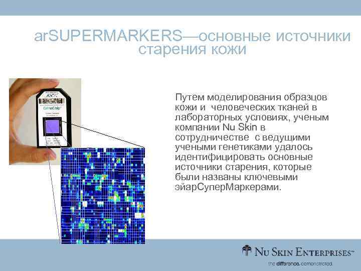 ar. SUPERMARKERS—основные источники старения кожи Путем моделирования образцов кожи и человеческих тканей в лабораторных