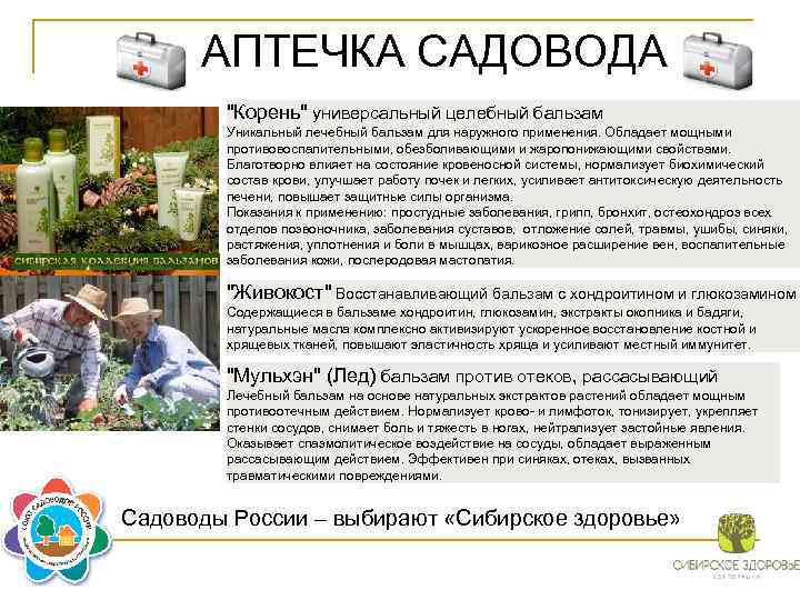 АПТЕЧКА САДОВОДА "Корень" универсальный целебный бальзам Уникальный лечебный бальзам для наружного применения. Обладает мощными