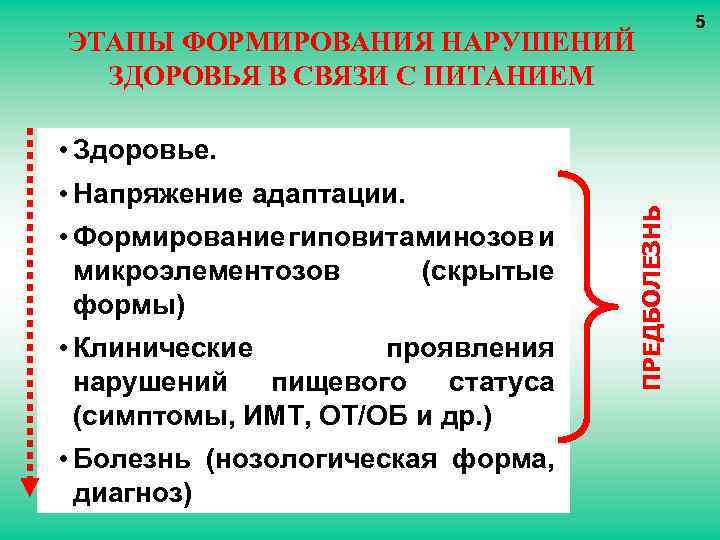 5 ЭТАПЫ ФОРМИРОВАНИЯ НАРУШЕНИЙ ЗДОРОВЬЯ В СВЯЗИ С ПИТАНИЕМ • Напряжение адаптации. • Формирование