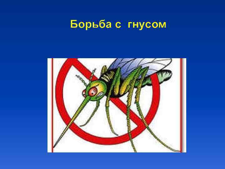 Борьба с гнусом 