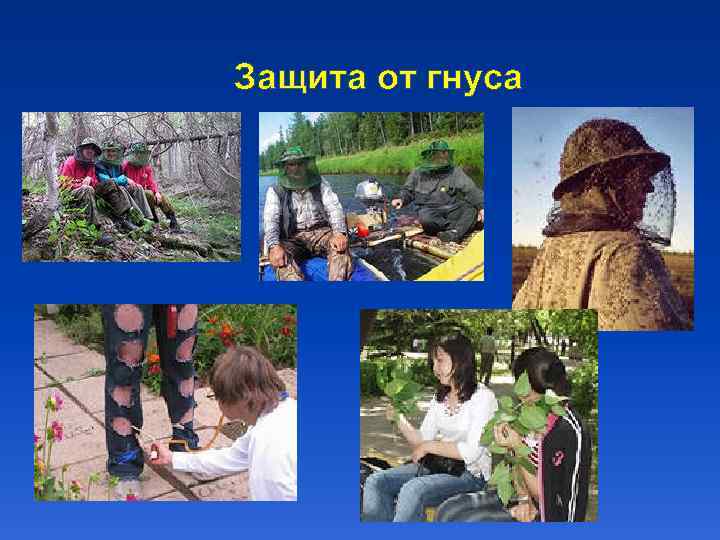 Защита от гнуса 