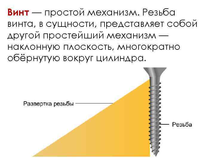 Винт — простой механизм. Резьба винта, в сущности, представляет собой другой простейший механизм —