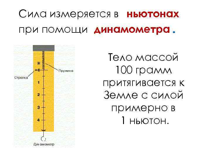 Что значит измерить силу. Ньютон сила измерения. В чем измеряется сила. Что измеряется в ньютонах. В чём измеряется усили.