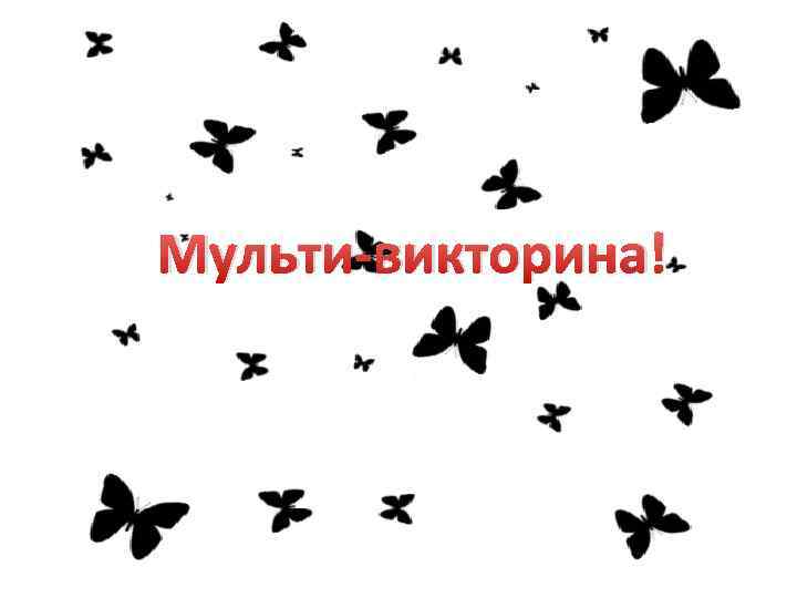 Мульти-викторина! 