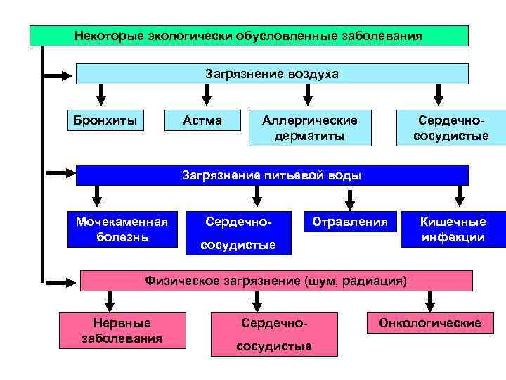 Некоторые экологически обусловленные заболевания Загрязнение воздуха Бронхиты Астма Аллергические дерматиты Сердечнососудистые Загрязнение питьевой воды