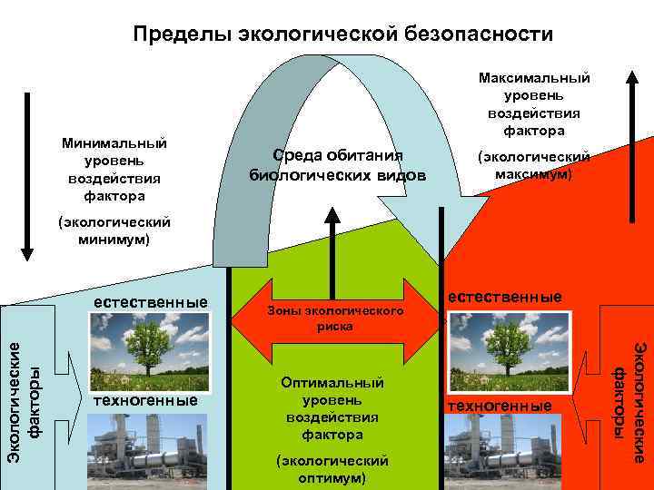 Пределы экологической безопасности Минимальный уровень воздействия фактора Максимальный уровень воздействия фактора Среда обитания биологических