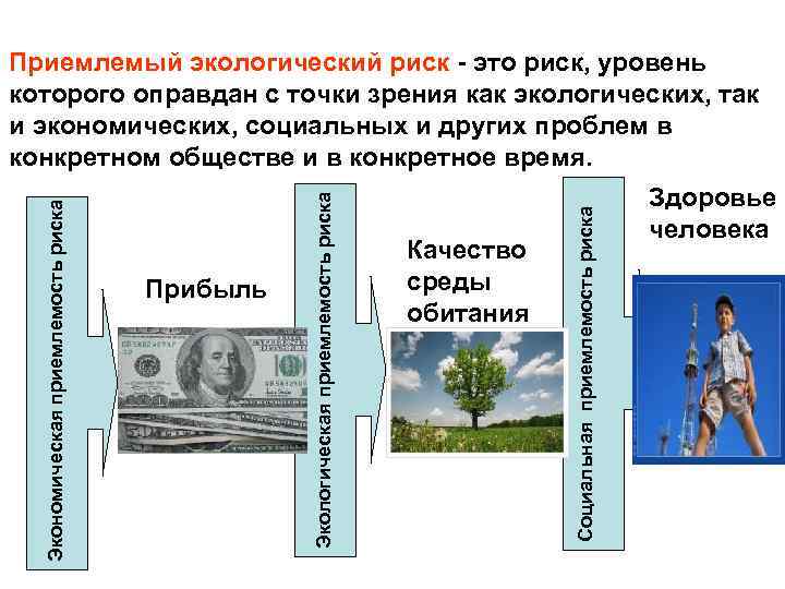 Качество среды обитания Социальная приемлемость риска Прибыль Экологическая приемлемость риска Экономическая приемлемость риска Приемлемый