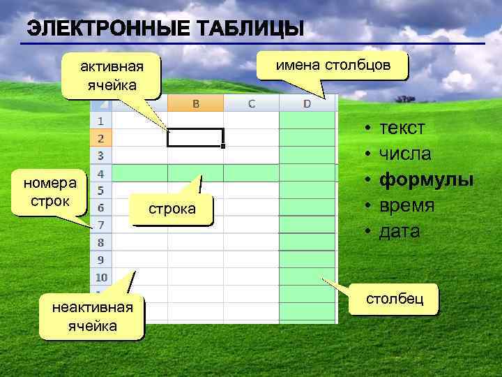 Выполните соответствие. Активная ячейка в электронной таблице это. Имена Столбцов. Неактивная ячейка. Установите соответствие ячейка.