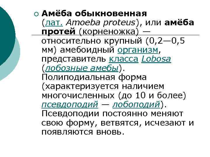 ¡ Амёба обыкновенная (лат. Amoeba proteus), или амёба протей (корненожка) — относительно крупный (0,