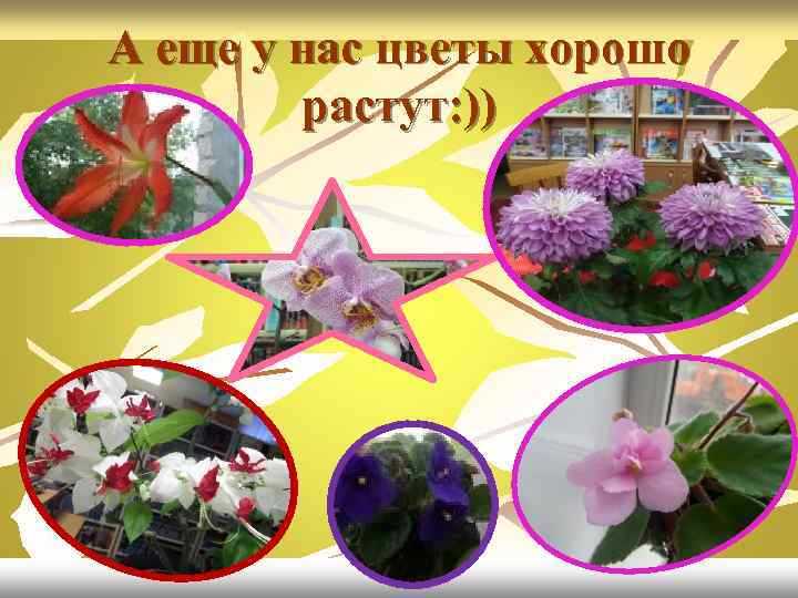 А еще у нас цветы хорошо растут: )) 