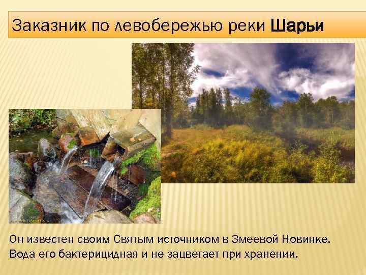 Заказник по левобережью реки Шарьи Он известен своим Святым источником в Змеевой Новинке. Вода