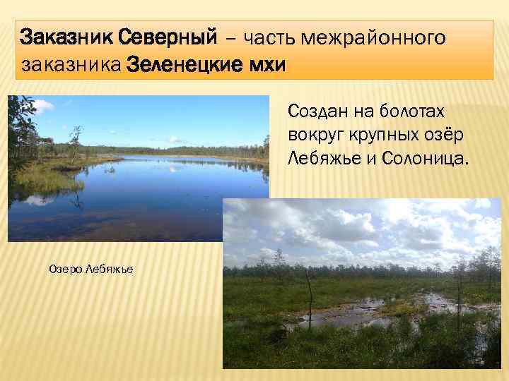 Заказник Северный – часть межрайонного заказника Зеленецкие мхи Создан на болотах вокруг крупных озёр