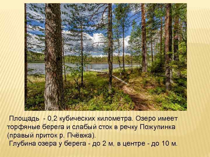  Площадь - 0, 2 кубических километра. Озеро имеет торфяные берега и слабый сток