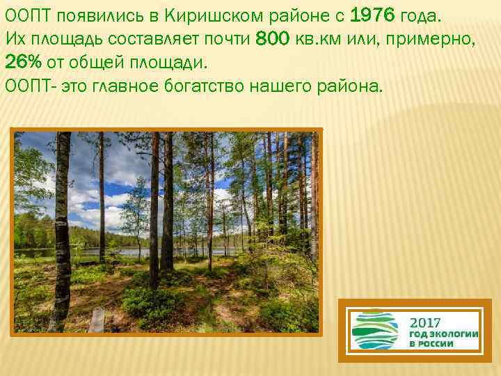 ООПТ появились в Киришском районе с 1976 года. Их площадь составляет почти 800 кв.