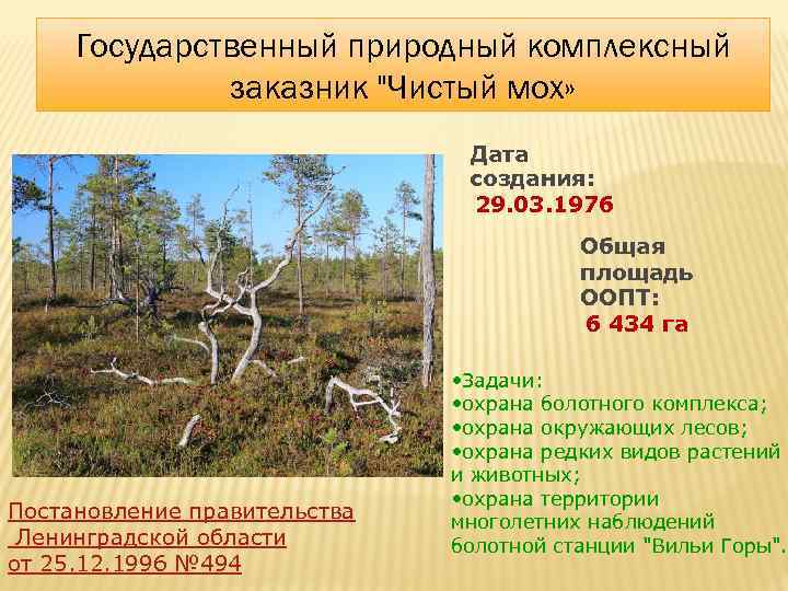Государственный природный комплексный заказник "Чистый мох» Дата создания: 29. 03. 1976 Общая площадь ООПТ:
