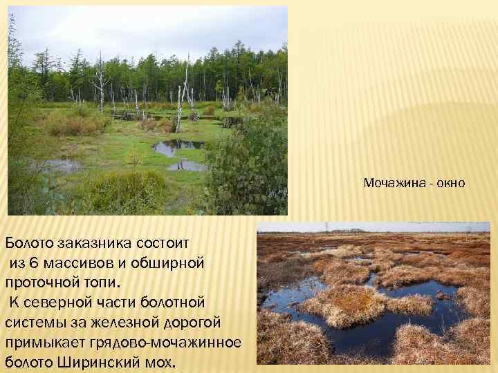 Мочажина - окно Болото заказника состоит из 6 массивов и обширной проточной топи. К