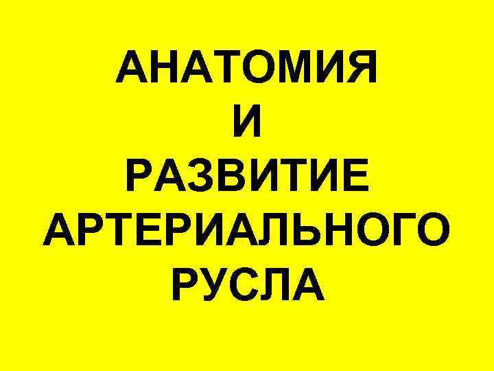 АНАТОМИЯ И РАЗВИТИЕ АРТЕРИАЛЬНОГО РУСЛА 