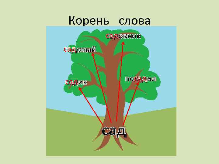 Корень слова сад овник сад овый сад ик сад посадил сад 