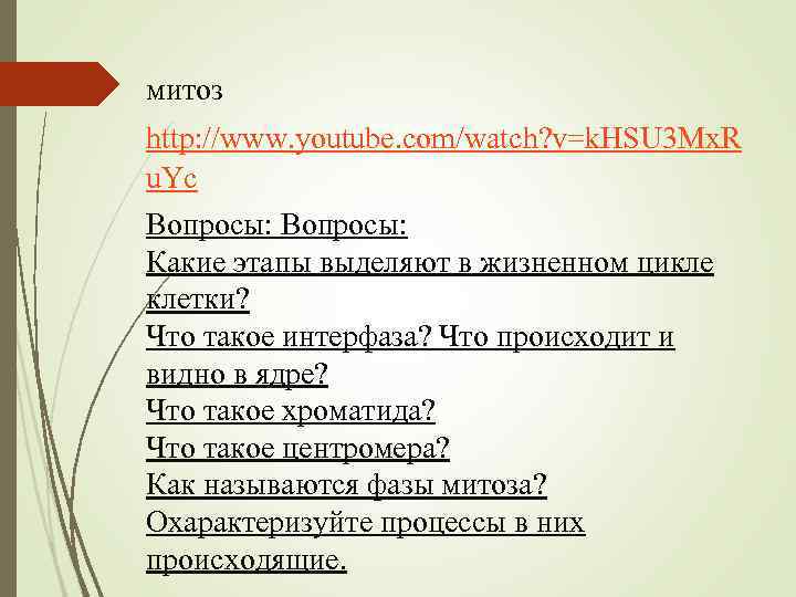 митоз http: //www. youtube. com/watch? v=k. HSU 3 Mx. R u. Yc Вопросы: Какие