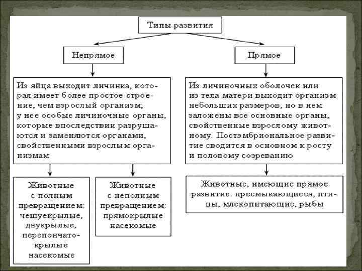 Рассмотрите внимательно схемы постэмбрионального развития животных назовите типы их развития