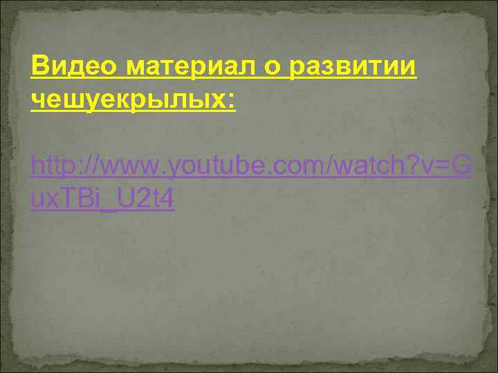 Видео материал о развитии чешуекрылых: http: //www. youtube. com/watch? v=G ux. TBi_U 2 t