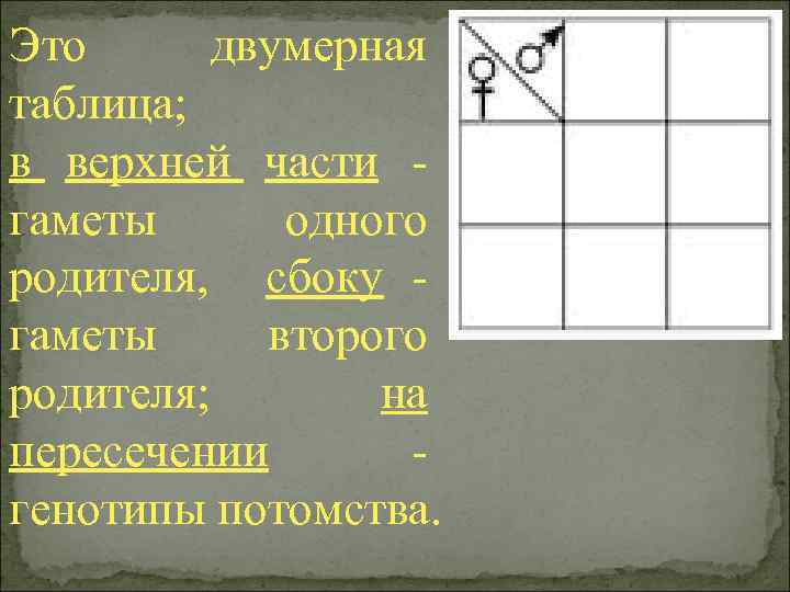 Это двумерная таблица; в верхней части - гаметы одного родителя, сбоку - гаметы второго