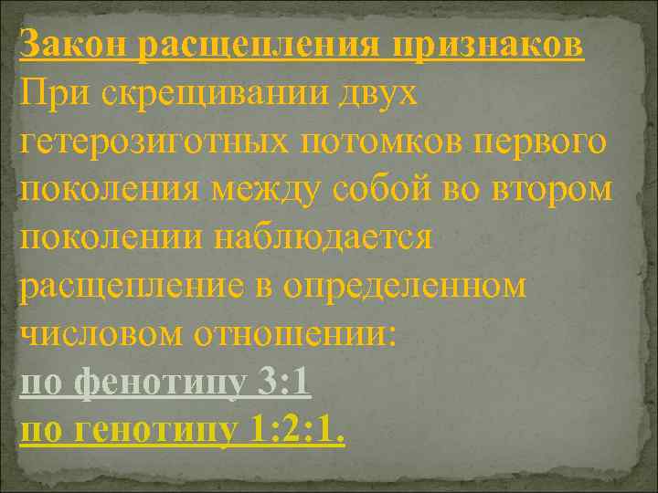 Закон расщепления признаков При скрещивании двух гетерозиготных потомков первого поколения между собой во втором