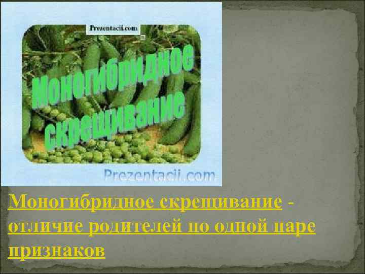 Моногибридное скрещивание - отличие родителей по одной паре признаков 