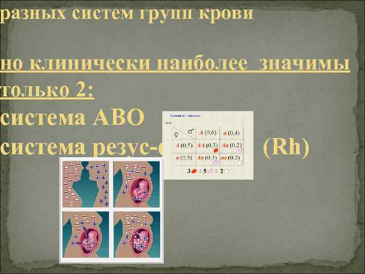 разных систем групп крови но клинически наиболее значимы только 2: система ABO система резус-фактора