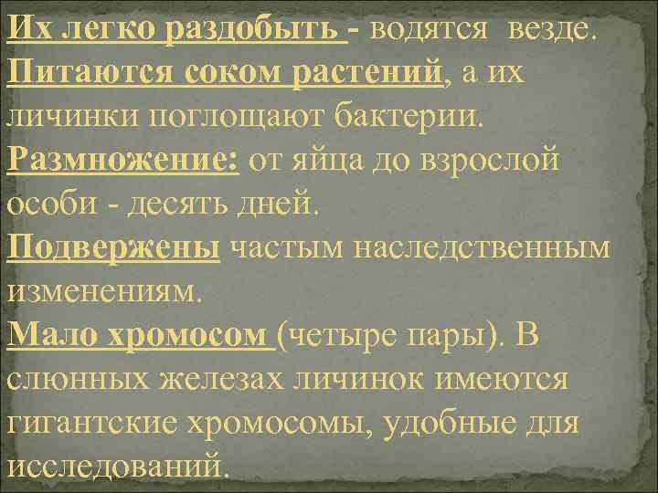 Их легко раздобыть - водятся везде. Питаются соком растений, а их личинки поглощают бактерии.