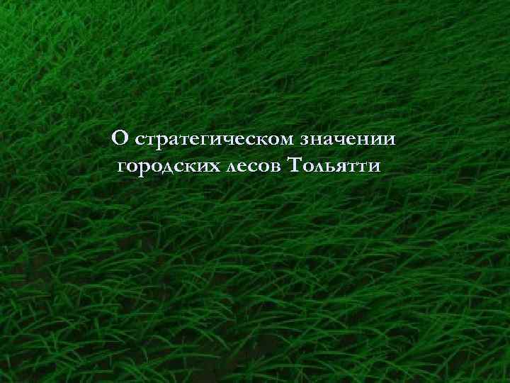 О стратегическом значении городских лесов Тольятти 