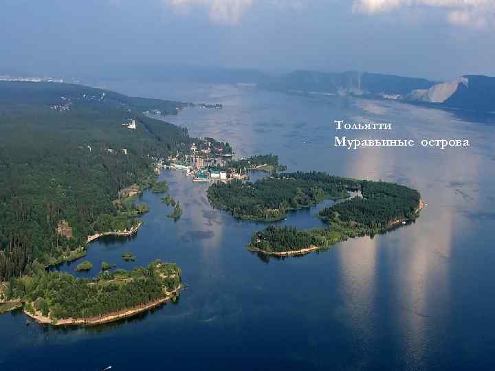 Тольятти Муравьиные острова 