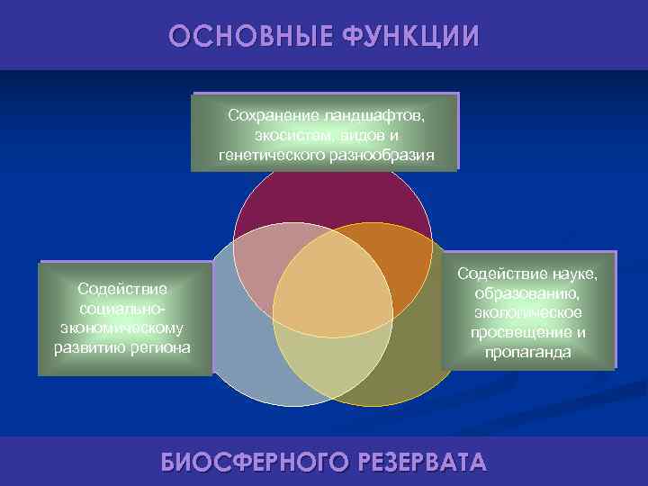 ОСНОВНЫЕ ФУНКЦИИ Сохранение ландшафтов, экосистем, видов и генетического разнообразия Содействие социальноэкономическому развитию региона Содействие