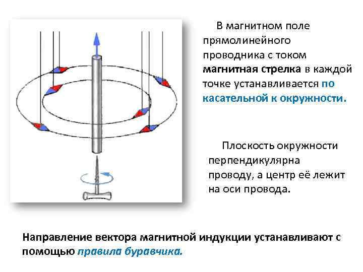 В магнитном поле прямолинейного проводника с током магнитная стрелка в каждой точке устанавливается по