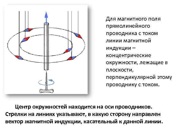 Для магнитного поля прямолинейного проводника с током линии магнитной индукции – концентрические окружности, лежащие
