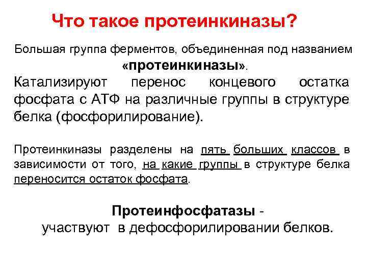 Что такое протеинкиназы? Большая группа ферментов, объединенная под названием «протеинкиназы» . Катализируют перенос концевого