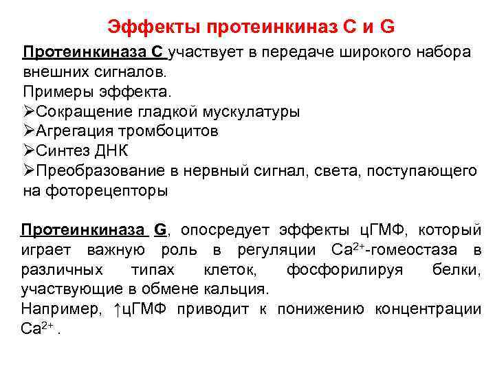 Эффекты протеинкиназ С и G Протеинкиназа С участвует в передаче широкого набора внешних сигналов.