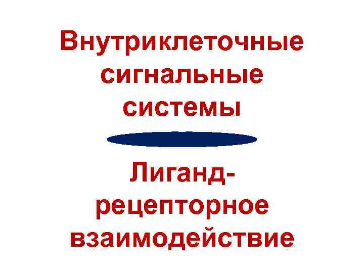 Внутриклеточные сигнальные системы Лигандрецепторное взаимодействие 